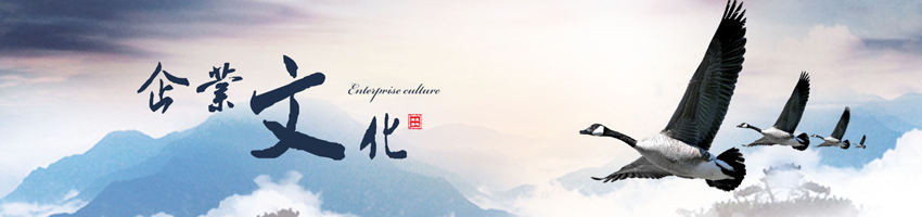 20240223/6dba9268e3671bdfad2acc804c041619.jpg 20240223/6dba9268e3671bdfad2acc804c041619.jpg